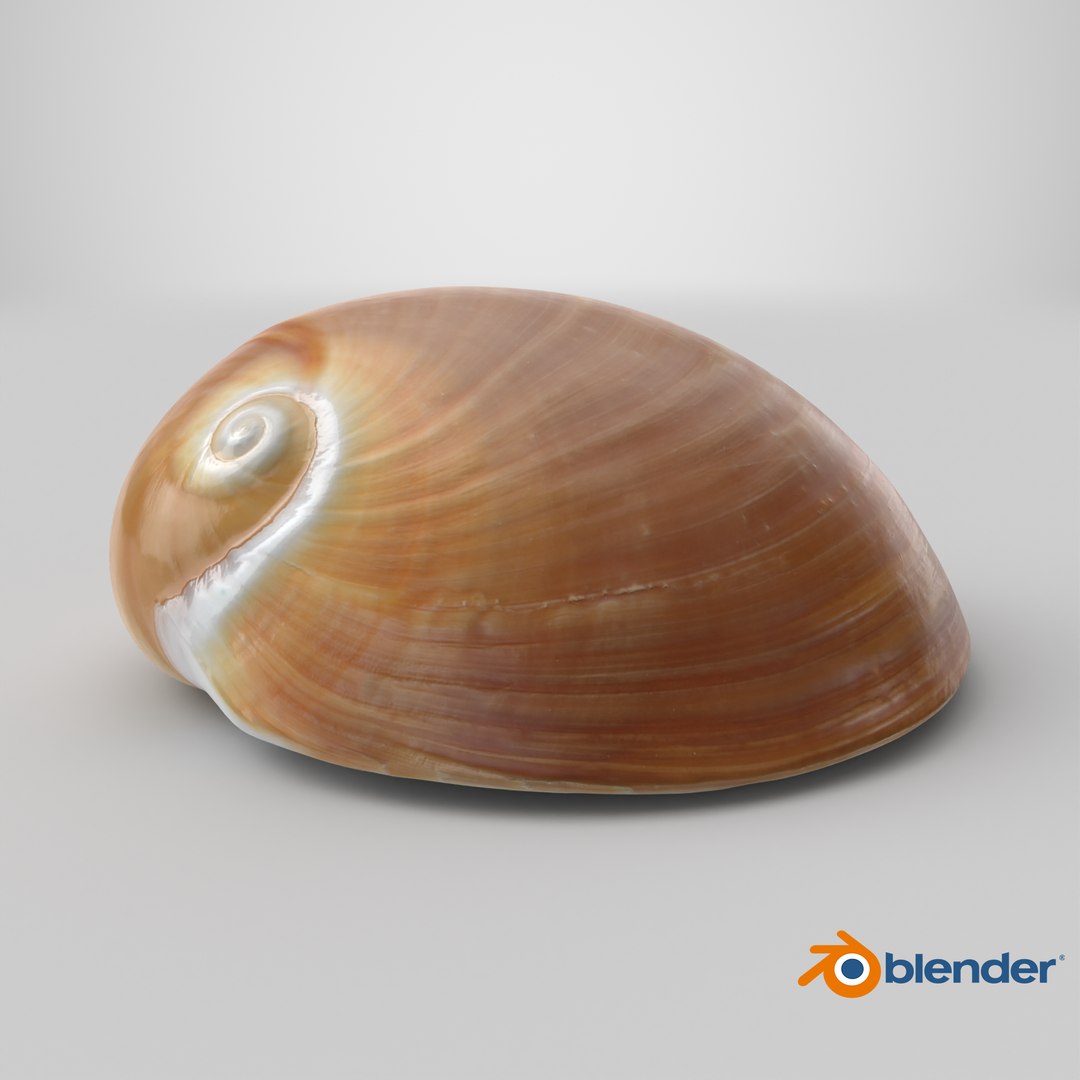Neverita Albumen 3D https://p.turbosquid.com/ts-thumb/C9/HltudG/dz/stemcell_blender_cycles_render/png/1711383352/1920x1080/fit_q87/f098de072bc6cbbfda8f4d5f30f6b326de932918/stemcell_blender_cycles_render.jpg