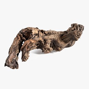 3D Grapevine Bark 3D Scanned 05 StemCell model