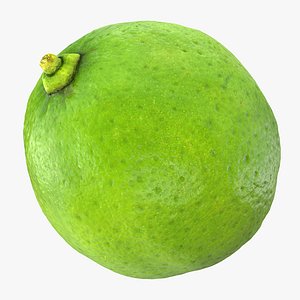 3D lime realistic model