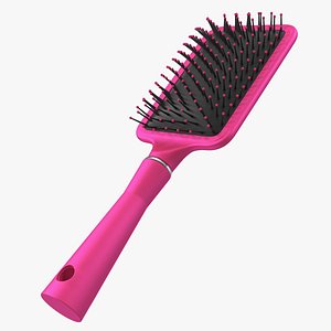 Paddle Brush