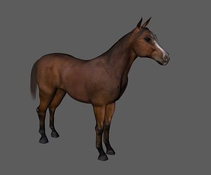 Realistic horse European horse war horse horse steed horse sweat and blood BMW next generation swift model