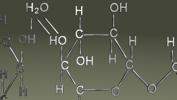 b0165cellulose_closeup.jpg