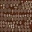 Spilled Coffee Beans