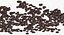 Spilled Coffee Beans