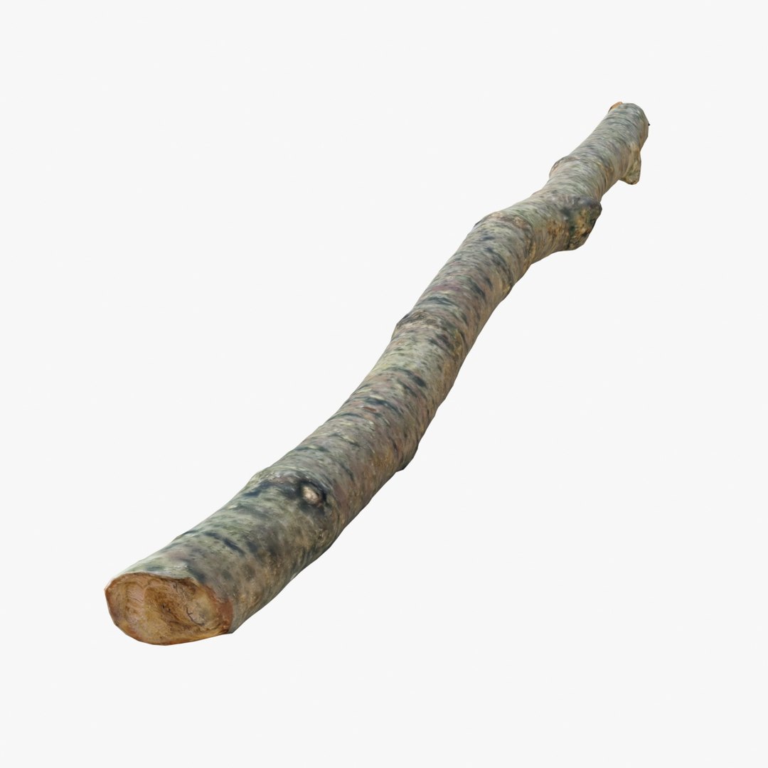Realistic Branch 02 3D - TurboSquid 1218198