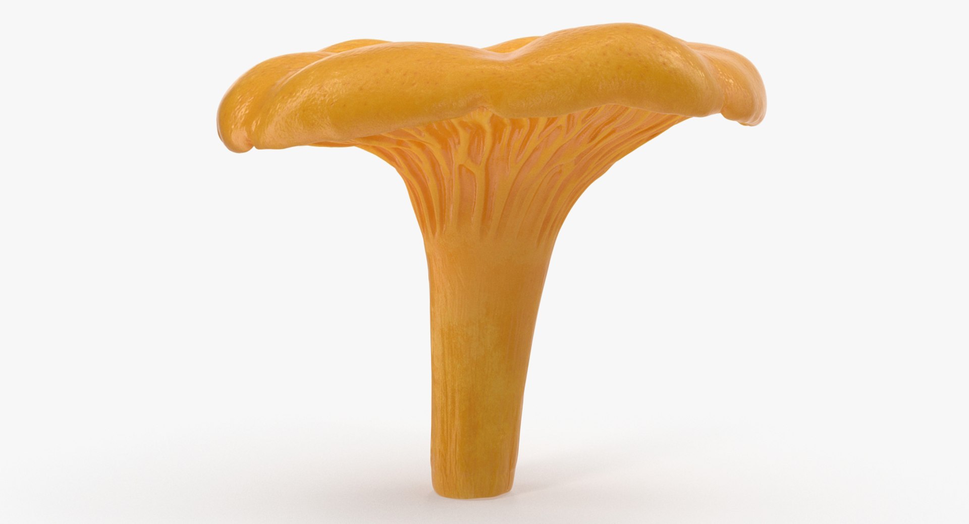 Golden Wild Mushroom Chanterelle 3D Models 3D model preview