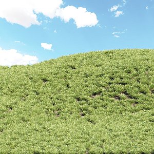 Grass Clumps vol 152