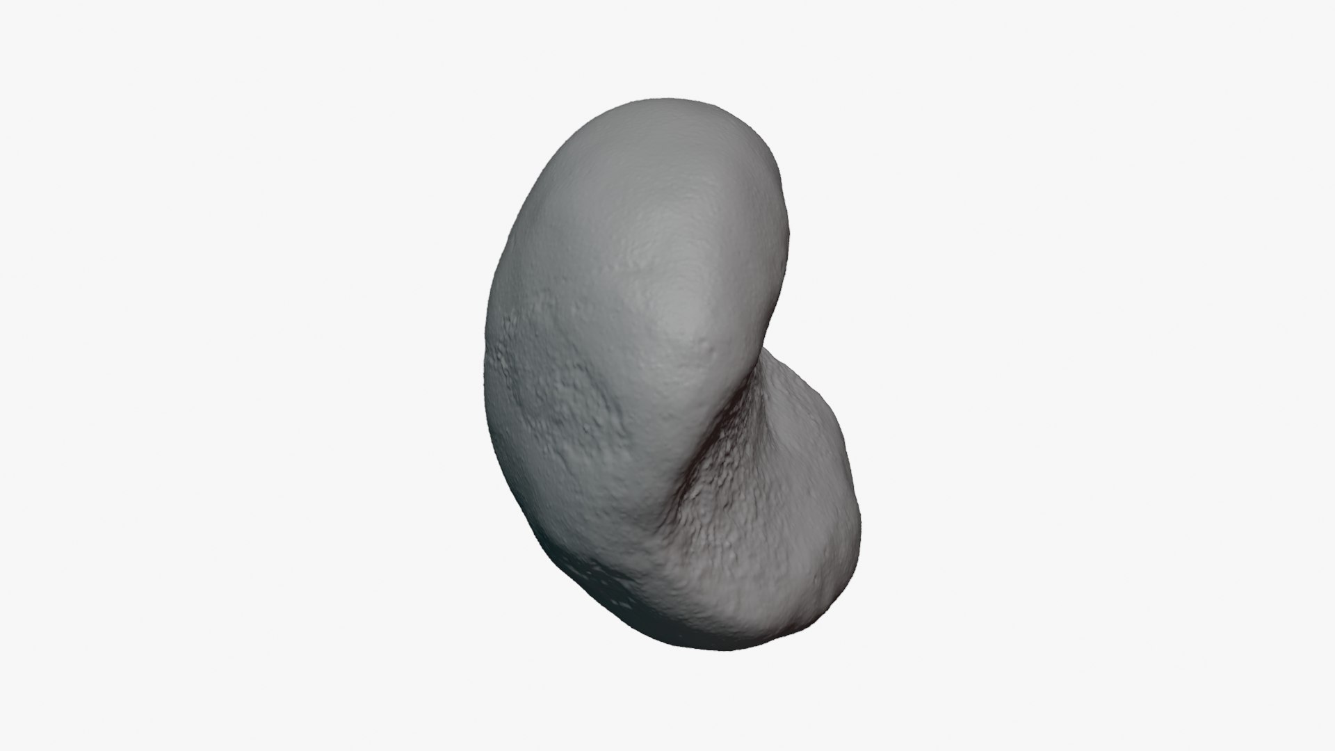 Jobs Tears 01 - For 3D Print 3D model https://p.turbosquid.com/ts-thumb/C9/sGEL2k/0x/jobstears01_0004/png/1763122188/1920x1080/fit_q87/19242166e07f16a18292910f148c96f7fa4f8a68/jobstears01_0004.jpg