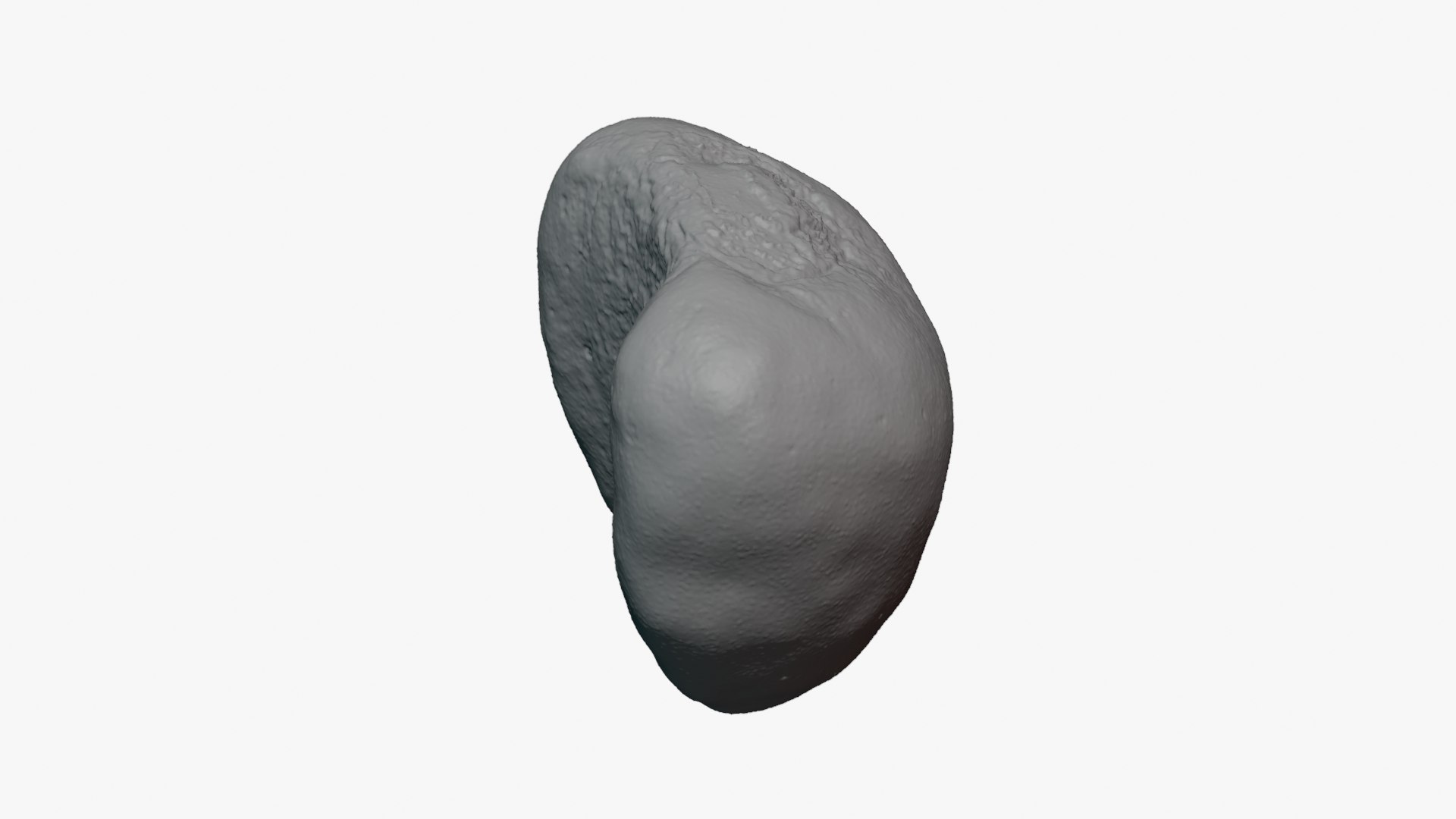 Jobs Tears 01 - For 3D Print 3D model https://p.turbosquid.com/ts-thumb/C9/sGEL2k/4e/jobstears01_0003/png/1763122188/1920x1080/fit_q87/c87d58dd2118cfeae01244c9b92b3234af3d5f2b/jobstears01_0003.jpg