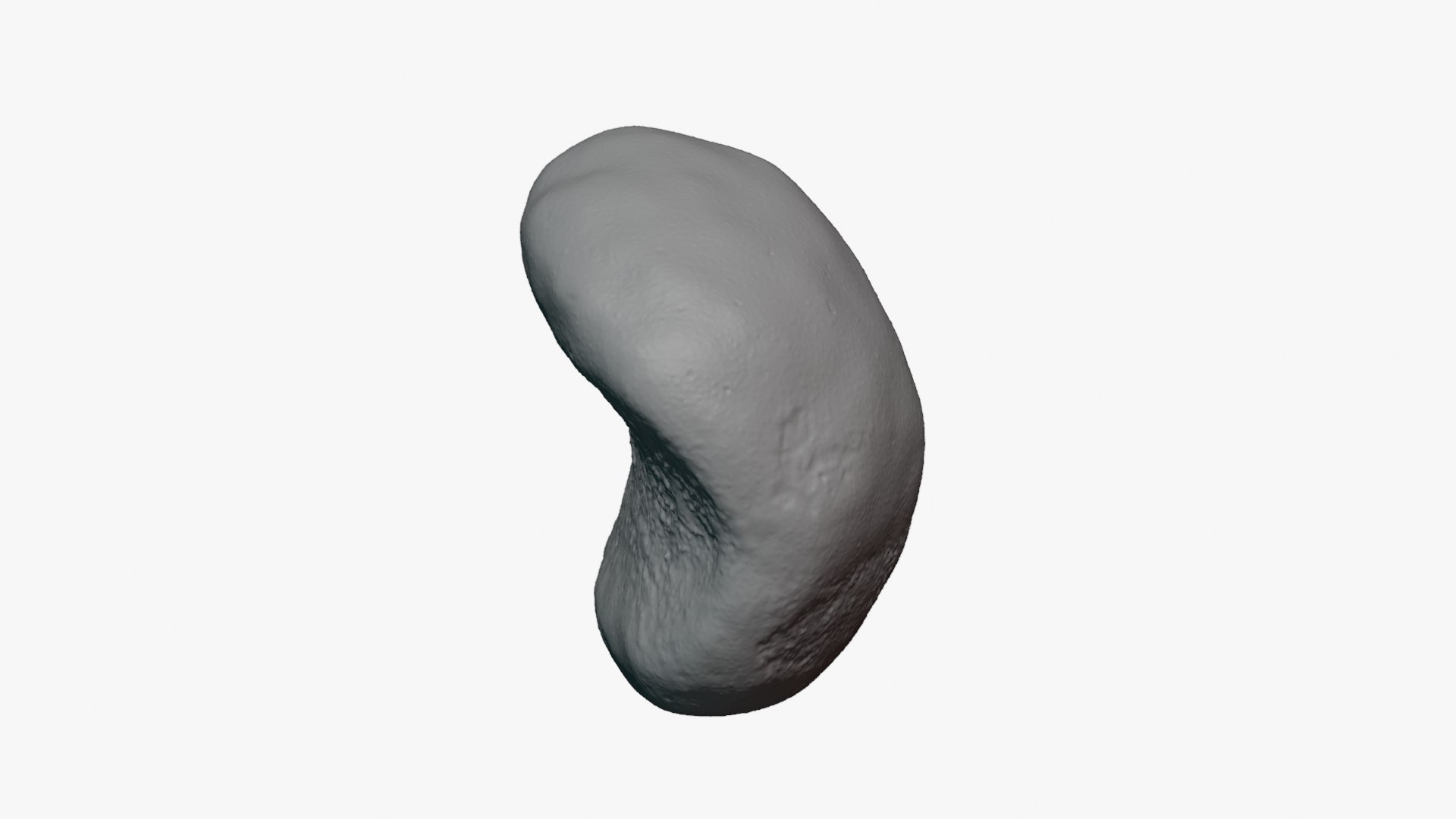 Jobs Tears 01 - For 3D Print 3D model https://p.turbosquid.com/ts-thumb/C9/sGEL2k/G4/jobstears01_0012/png/1763122195/1920x1080/fit_q87/081d01bdf6b2e898c224b68e15187891af721a23/jobstears01_0012.jpg