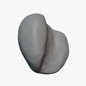 Jobs Tears 01 - For 3D Print
