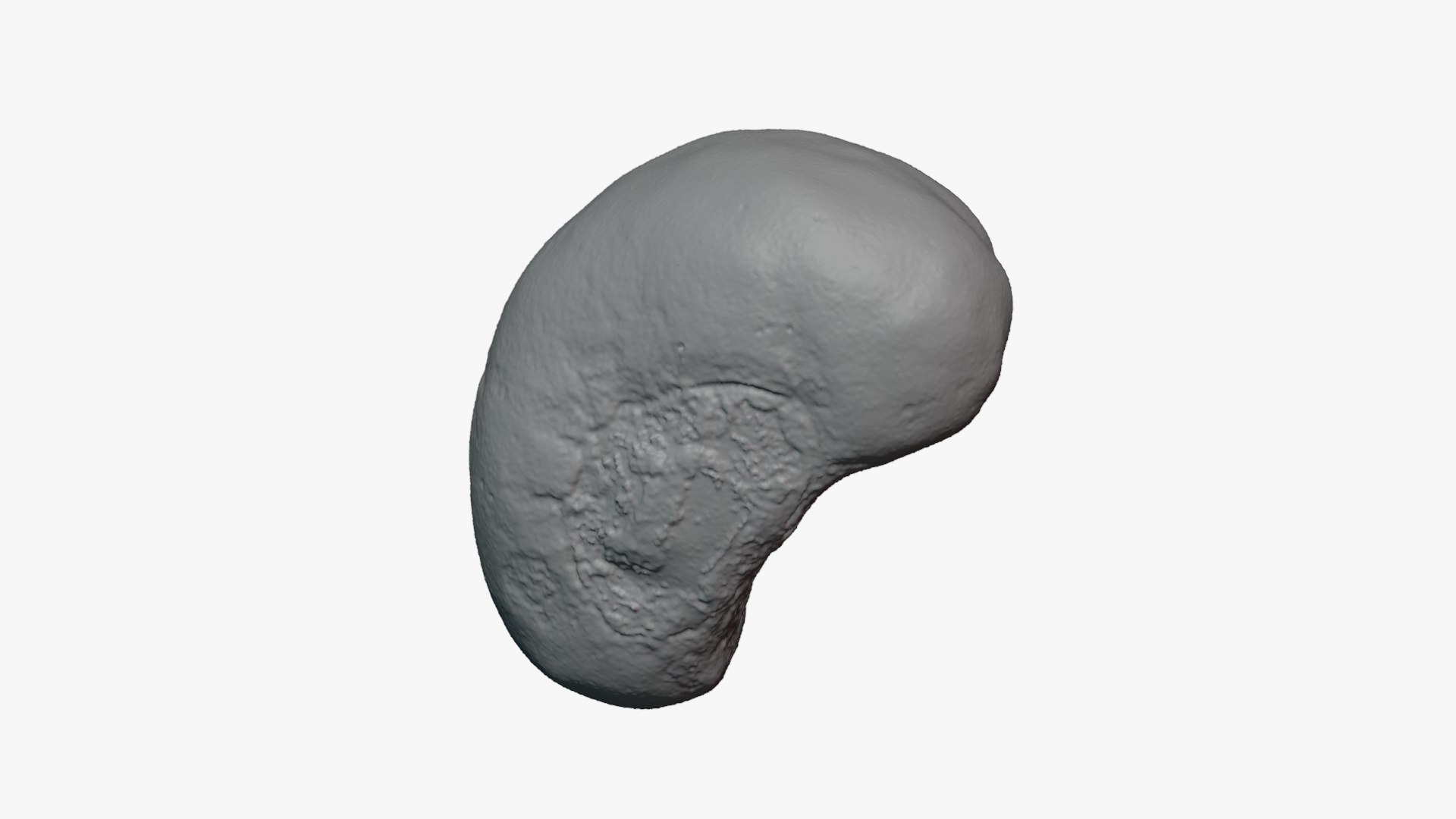Jobs Tears 01 - For 3D Print 3D model https://p.turbosquid.com/ts-thumb/C9/sGEL2k/W5/jobstears01_0006/png/1763122189/1920x1080/fit_q87/e989c228ae3c78217a7a9b1307012e5bcd0d4140/jobstears01_0006.jpg