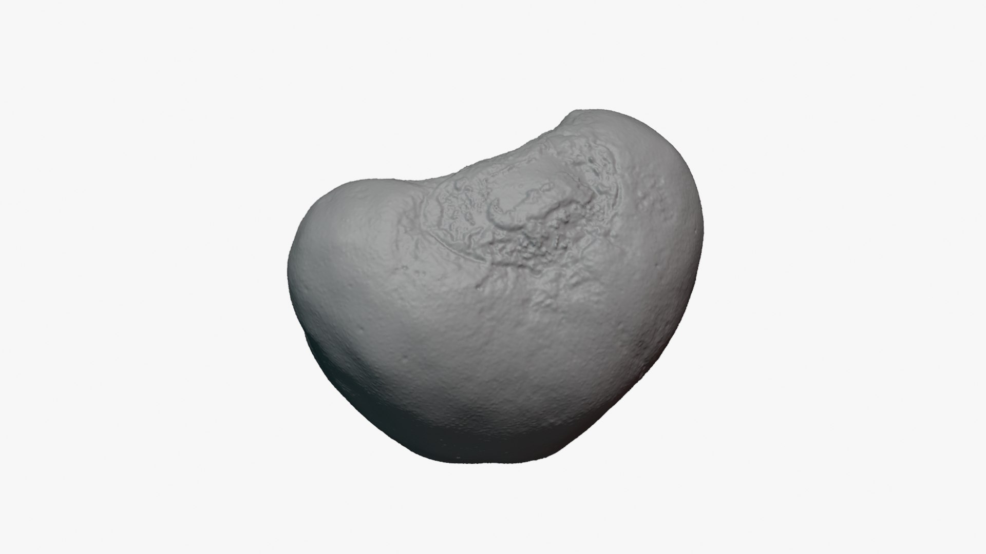 Jobs Tears 01 - For 3D Print 3D model https://p.turbosquid.com/ts-thumb/C9/sGEL2k/WJ/jobstears01_0002/png/1763122186/1920x1080/fit_q87/a55093f1c433aca7bee946f0e6719779690c1bc2/jobstears01_0002.jpg