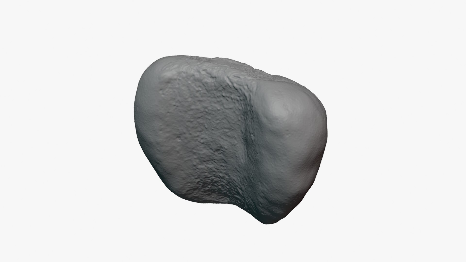 Jobs Tears 01 - For 3D Print 3D model https://p.turbosquid.com/ts-thumb/C9/sGEL2k/ak/jobstears01_0005/png/1763122188/1920x1080/fit_q87/db5b43d9d9be7136937c6daca54262e377cd396e/jobstears01_0005.jpg