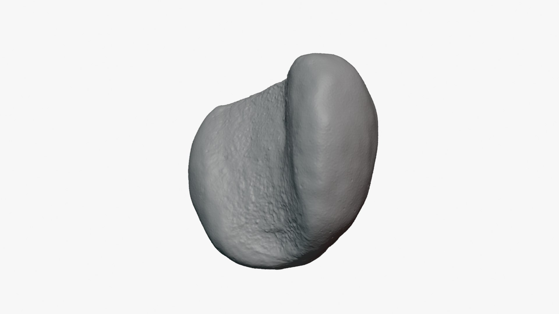 Jobs Tears 01 - For 3D Print 3D model https://p.turbosquid.com/ts-thumb/C9/sGEL2k/eY/jobstears01_0008/png/1763122191/1920x1080/fit_q87/ff32379578b12239b3fa41c0b4c5a9899303c98c/jobstears01_0008.jpg