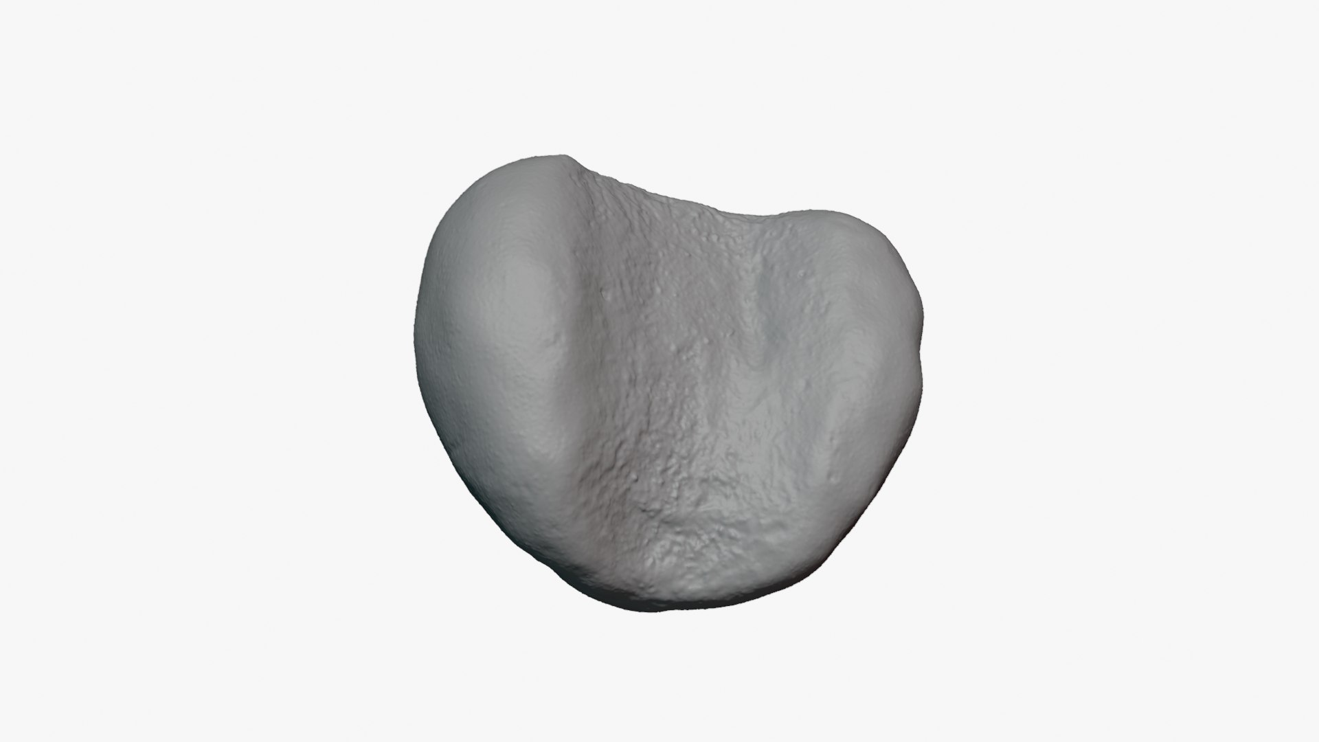 Jobs Tears 01 - For 3D Print 3D model https://p.turbosquid.com/ts-thumb/C9/sGEL2k/oA/jobstears01_0010/png/1763122193/1920x1080/fit_q87/2d32b7c9a46335199f81b1f7fae6f94283ceb9d2/jobstears01_0010.jpg