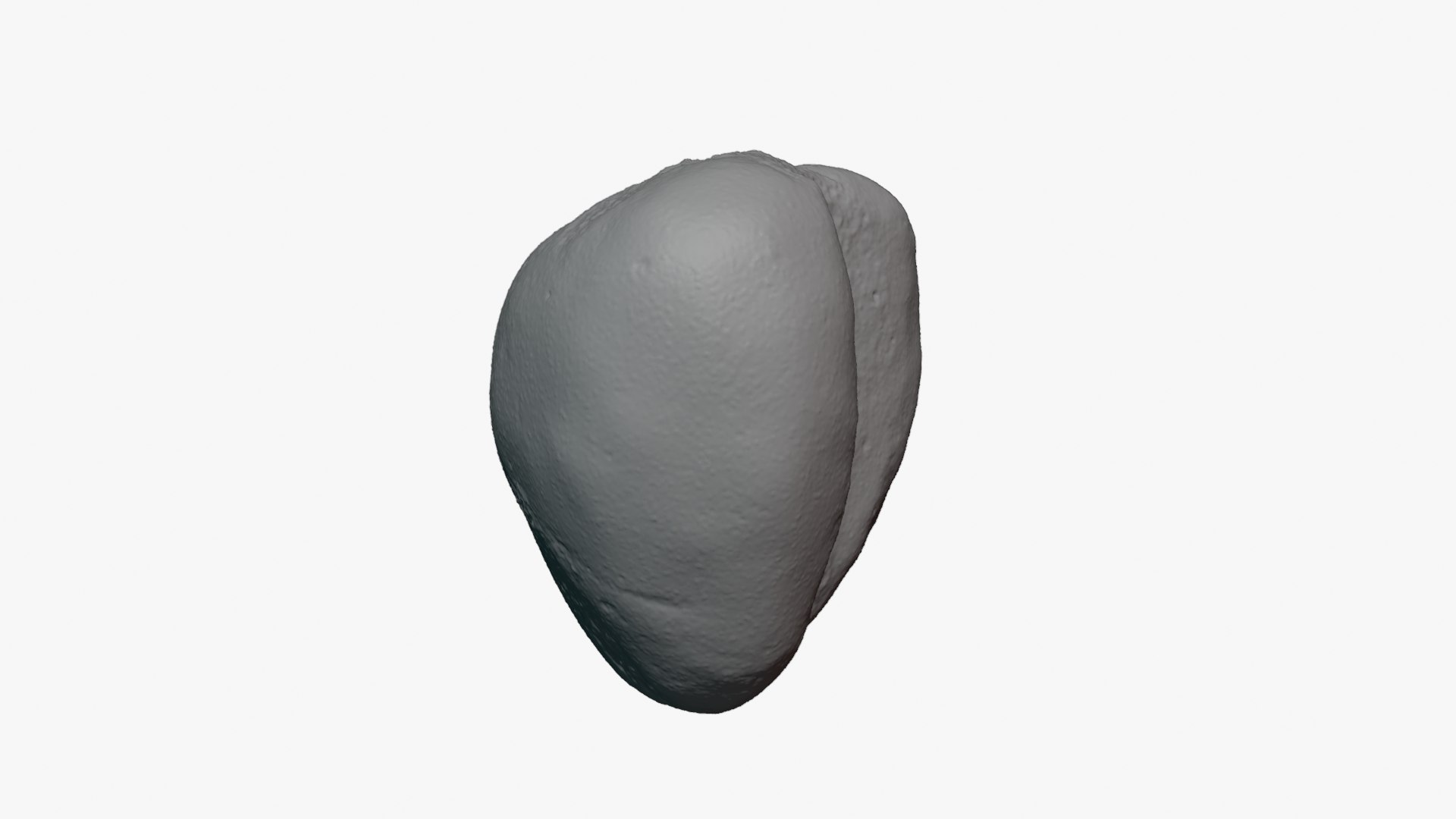 Jobs Tears 01 - For 3D Print 3D model https://p.turbosquid.com/ts-thumb/C9/sGEL2k/qB/jobstears01_0011/png/1763122195/1920x1080/fit_q87/79645595140ec1009ef60be5046d4809bbec2aed/jobstears01_0011.jpg
