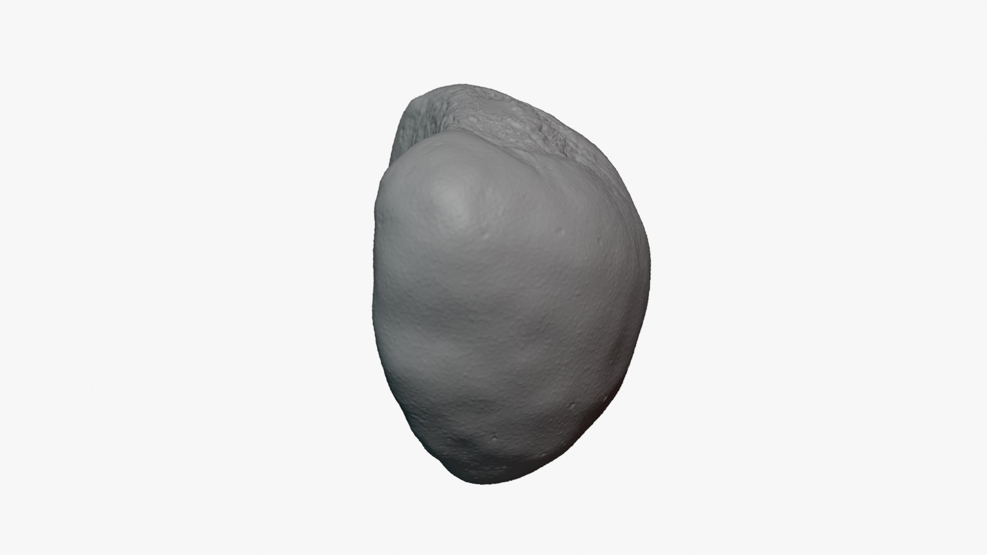 Jobs Tears 01 - For 3D Print 3D model https://p.turbosquid.com/ts-thumb/C9/sGEL2k/r0/jobstears01_0007/png/1763122191/1920x1080/fit_q87/4ffb884ba42f4a83f21748d112ca760f94ce9938/jobstears01_0007.jpg