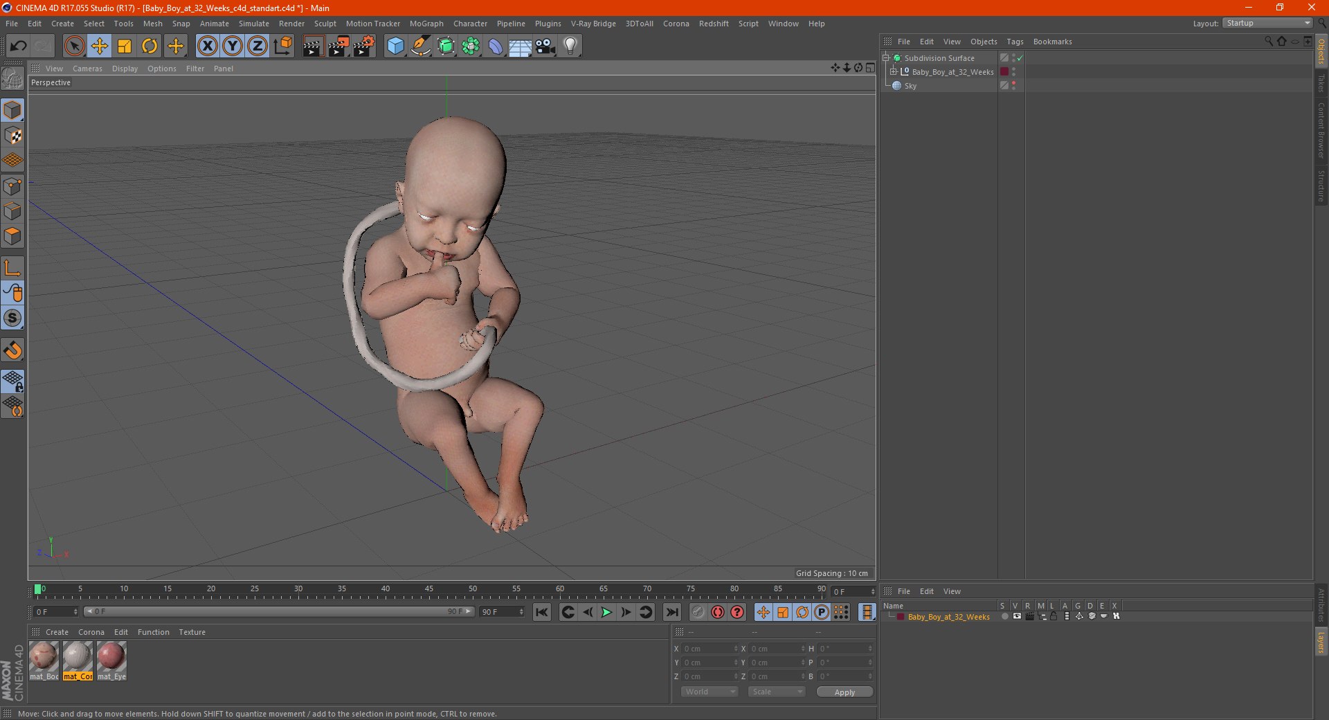 3D baby boy 32 weeks https://p.turbosquid.com/ts-thumb/C9/vIRG4U/DK7jaDGQ/babyboyat32weeks3dsmodel019/jpg/1606919292/1920x1080/fit_q87/0277001fdb358df46d130c319b4fc7eed56a447e/babyboyat32weeks3dsmodel019.jpg