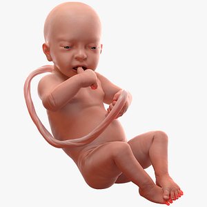 Baby Boy at 32 Weeks