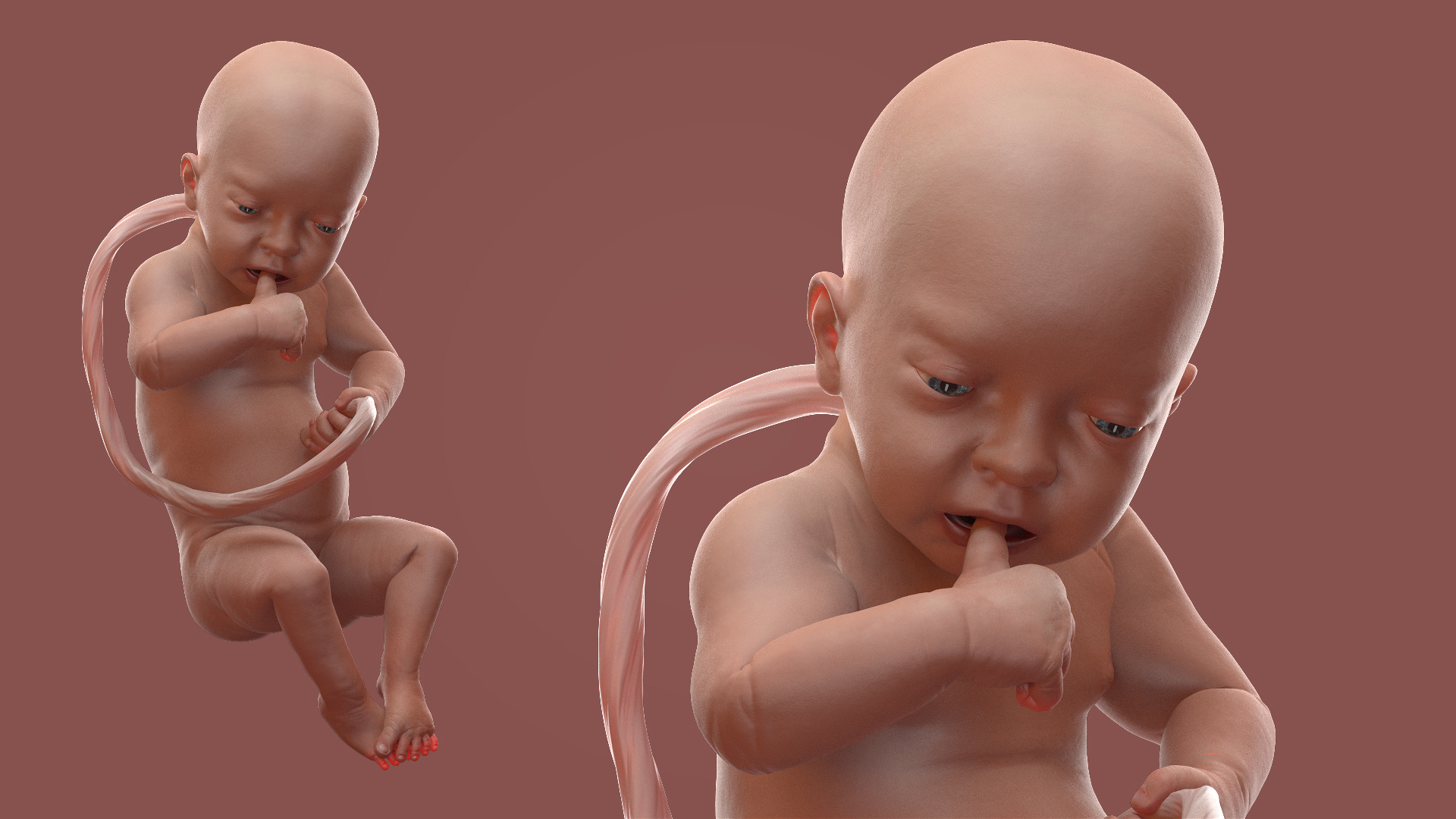 modèle 3D de Lit d'accouchement - TurboSquid 1189393