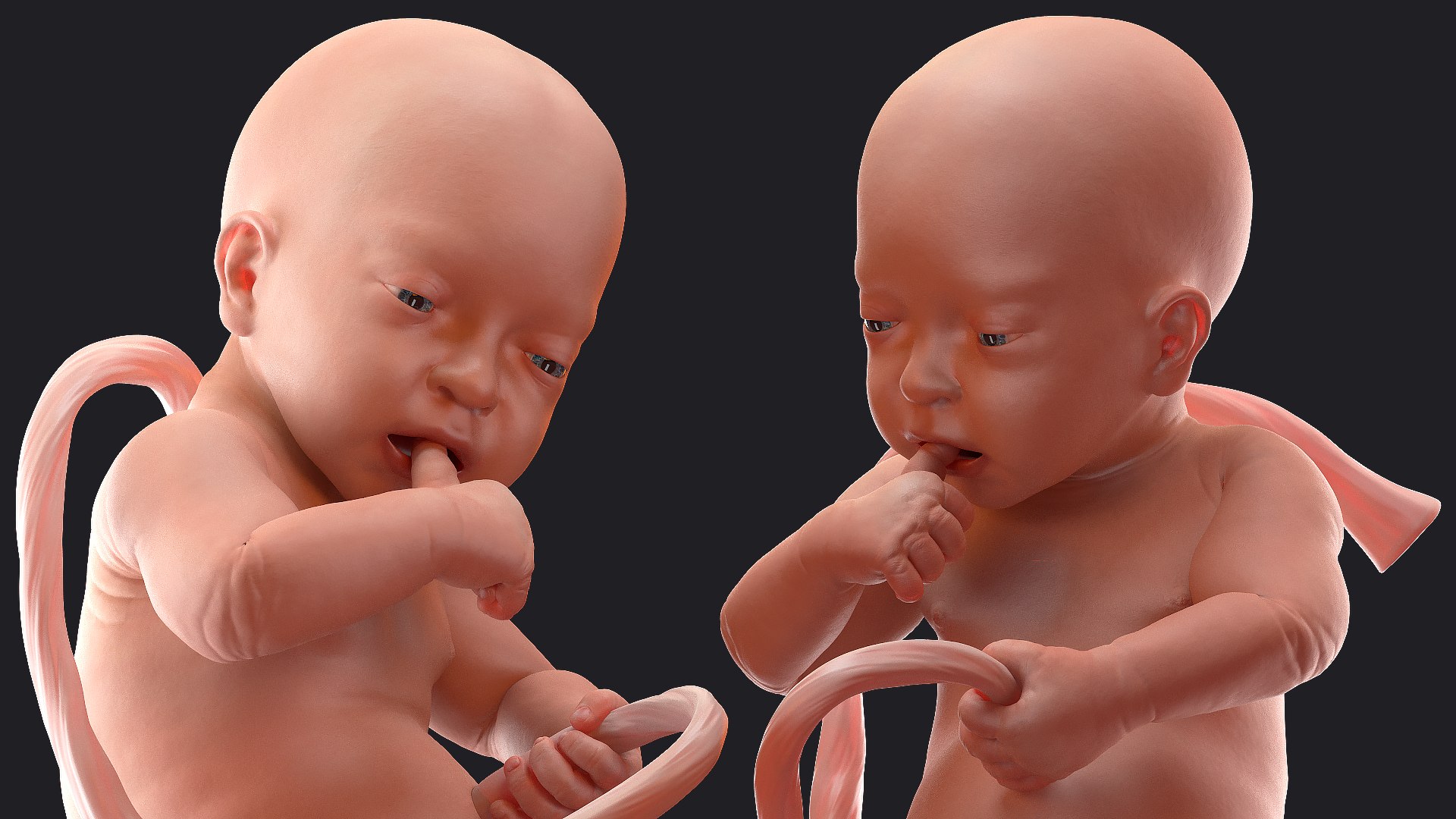 3D baby boy 32 weeks https://p.turbosquid.com/ts-thumb/C9/vIRG4U/buqUOBpt/babyboyat32weeks3dsmodel010/jpg/1606919169/1920x1080/fit_q87/62630e072697344072df09b94c15632c871cc24d/babyboyat32weeks3dsmodel010.jpg