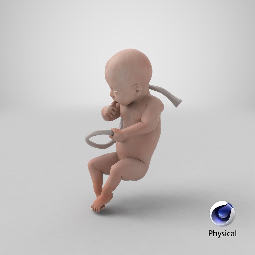 3D baby boy 32 weeks https://p.turbosquid.com/ts-thumb/C9/vIRG4U/ez/stemcell_cinema_4d_physical_render/png/1611129461/1920x1080/fit_q87/501a142ee048f3f0a5b807431301ab4542594bbf/stemcell_cinema_4d_physical_render.jpg