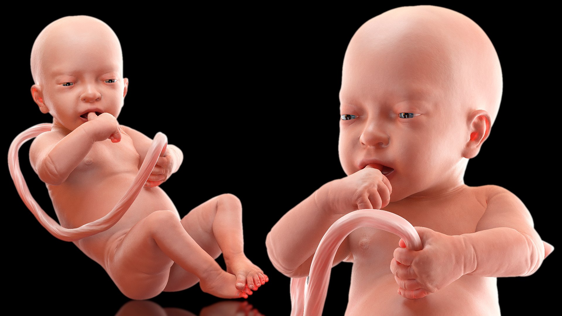 3D baby boy 32 weeks https://p.turbosquid.com/ts-thumb/C9/vIRG4U/lkXVh6T8/babyboyat32weeks3dsmodel002/jpg/1606919063/1920x1080/fit_q87/8c2cdc9920ea6a61882c9dbcf9a9e16db27ce2ff/babyboyat32weeks3dsmodel002.jpg
