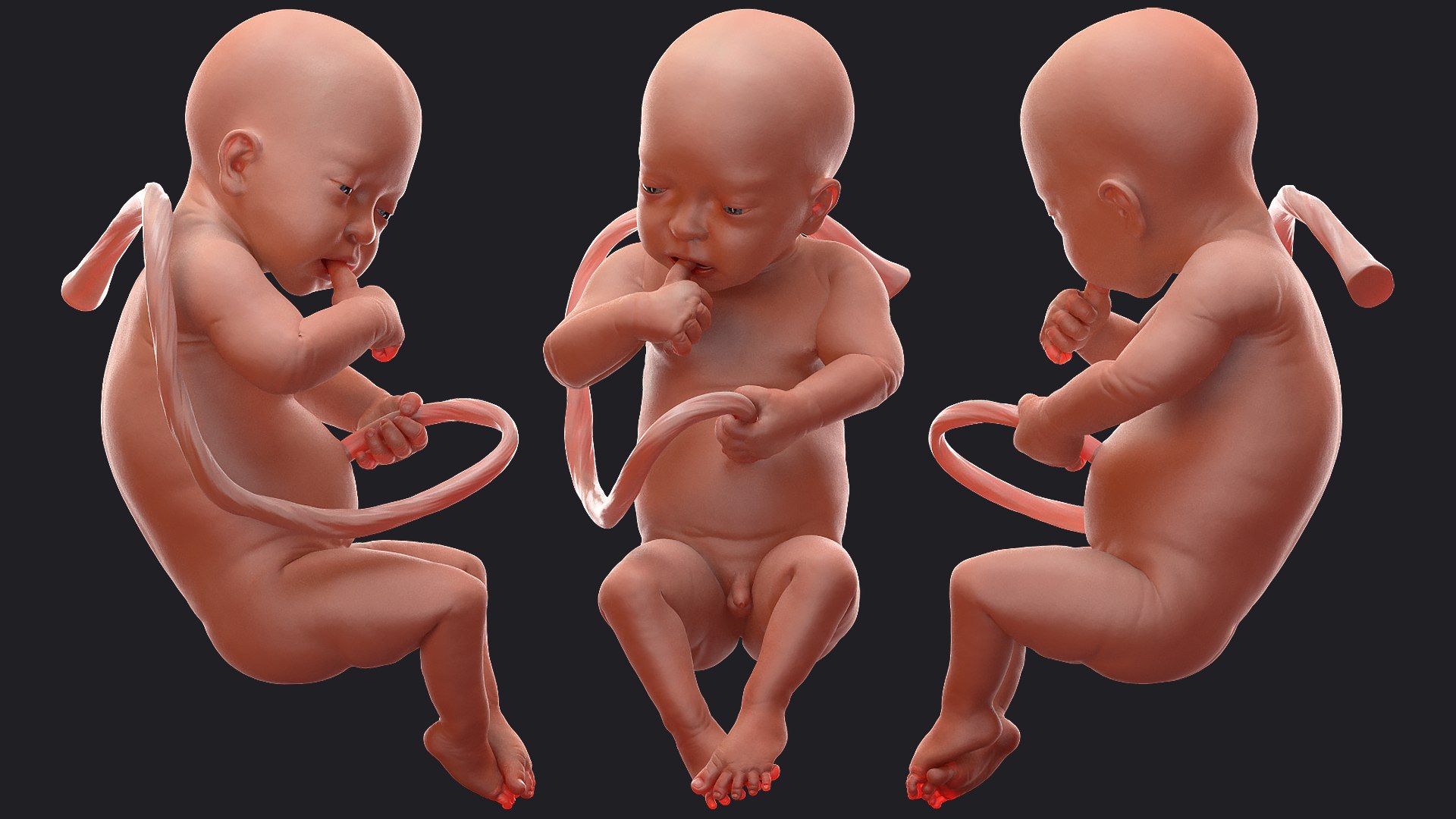 3D baby boy 32 weeks https://p.turbosquid.com/ts-thumb/C9/vIRG4U/nAVHnhuD/babyboyat32weeks3dsmodel008/jpg/1606919145/1920x1080/fit_q87/addf7ee5042ed5490d424e5f1a46bb8ae1c7fa8b/babyboyat32weeks3dsmodel008.jpg