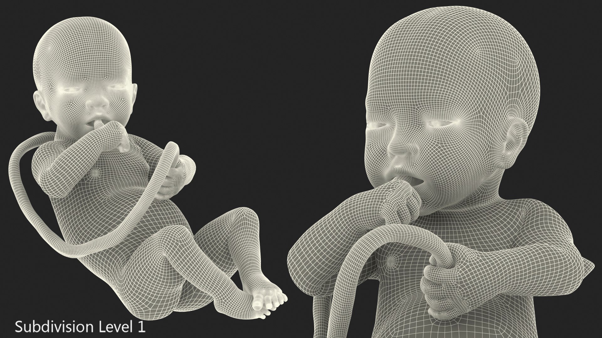 3D baby boy 32 weeks https://p.turbosquid.com/ts-thumb/C9/vIRG4U/rObDeinr/babyboyat32weeks3dsmodel014/jpg/1606919227/1920x1080/fit_q87/64057a0db37109f660bef80f595d15f2ca9f6621/babyboyat32weeks3dsmodel014.jpg