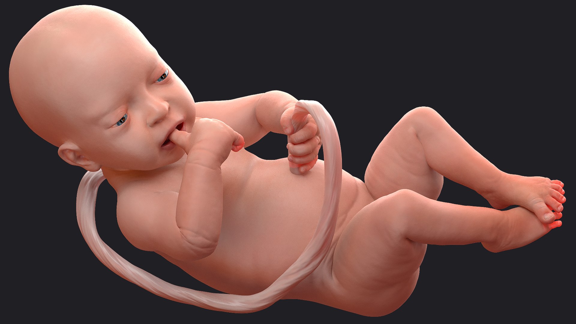 3D baby boy 32 weeks https://p.turbosquid.com/ts-thumb/C9/vIRG4U/tT3h8QMb/babyboyat32weeks3dsmodel006/jpg/1606919120/1920x1080/fit_q87/686424e55cc31dac2b231ed868c09da9e4897e6e/babyboyat32weeks3dsmodel006.jpg