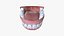 Teeth Rigged