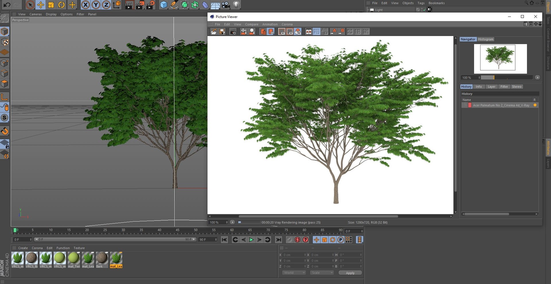 3D Acer Palmatum No 2 Model - TurboSquid 1745871