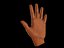 hand zbrush.obj