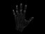 hand zbrush.obj