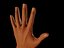 hand zbrush.obj