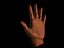 hand zbrush.obj