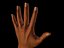hand zbrush.obj