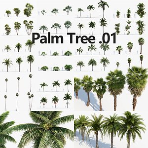 Plant Package 01 Palm model