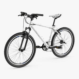 Mountain Bike Rigged