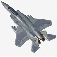 F15 C