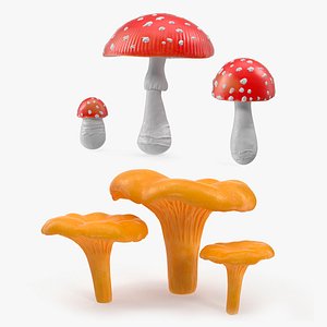 3D mushrooms amanita forest