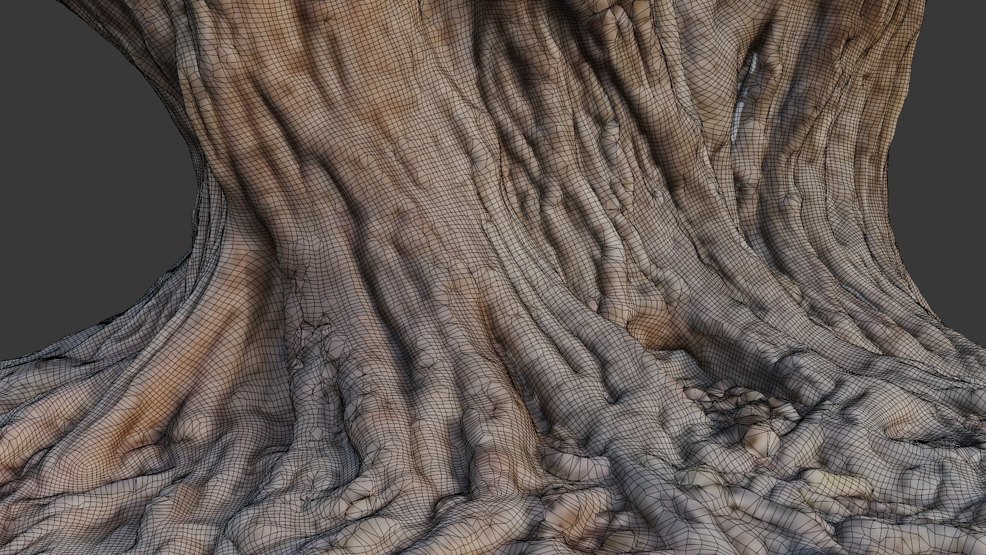 Exposed Tree Roots and Stump 3D Scan 3D model https://p.turbosquid.com/ts-thumb/CA/WgyQcY/Dn/2/jpg/1750222832/1920x1080/fit_q87/b186ae12497fced50cd0189cb9caf8eff7d388e9/2.jpg