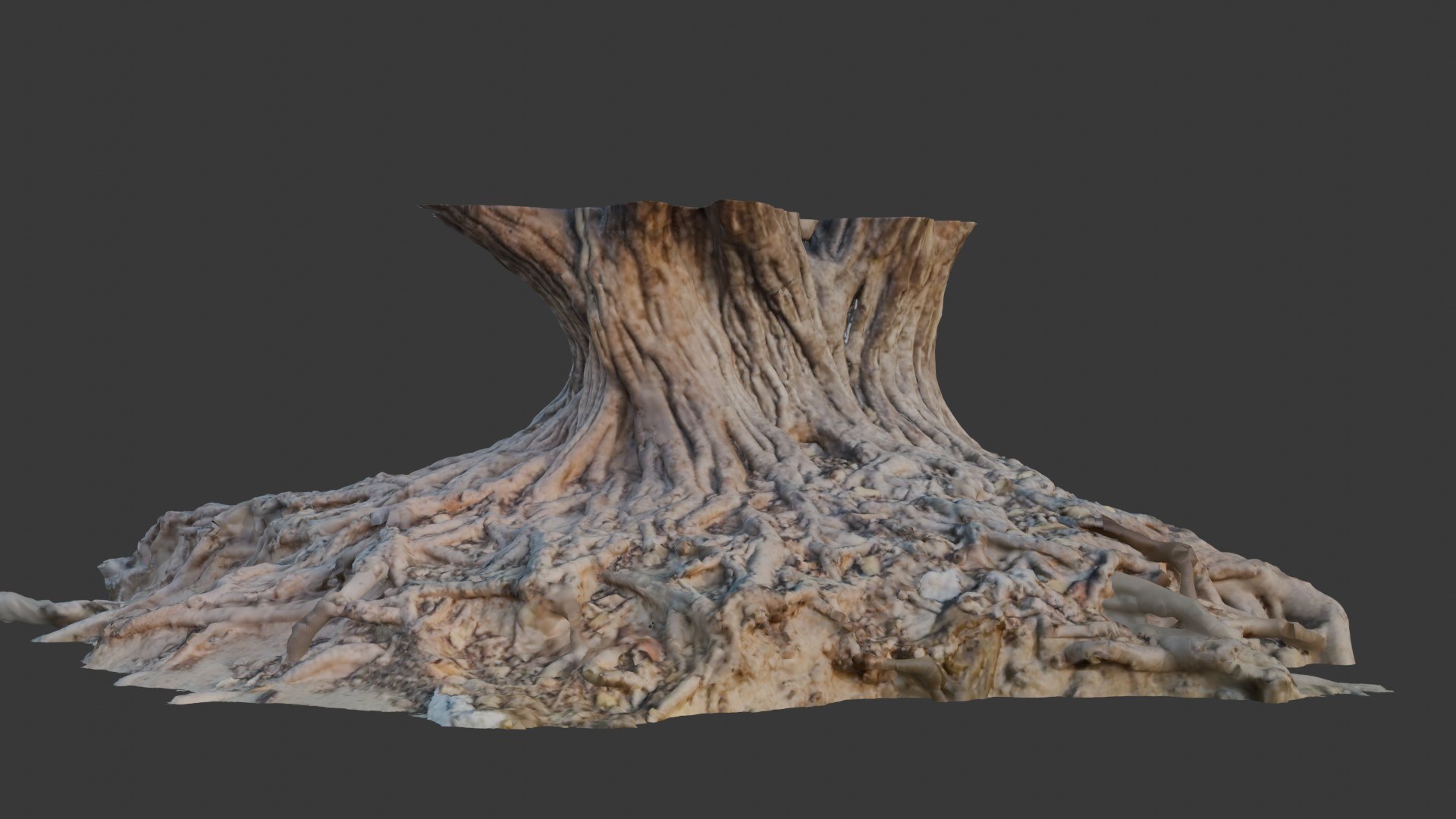Exposed Tree Roots and Stump 3D Scan 3D model https://p.turbosquid.com/ts-thumb/CA/WgyQcY/IN/1/jpg/1750222825/1920x1080/fit_q87/7d1fea1a6c14814d6ccc63e6931cabaa5a76a4ac/1.jpg