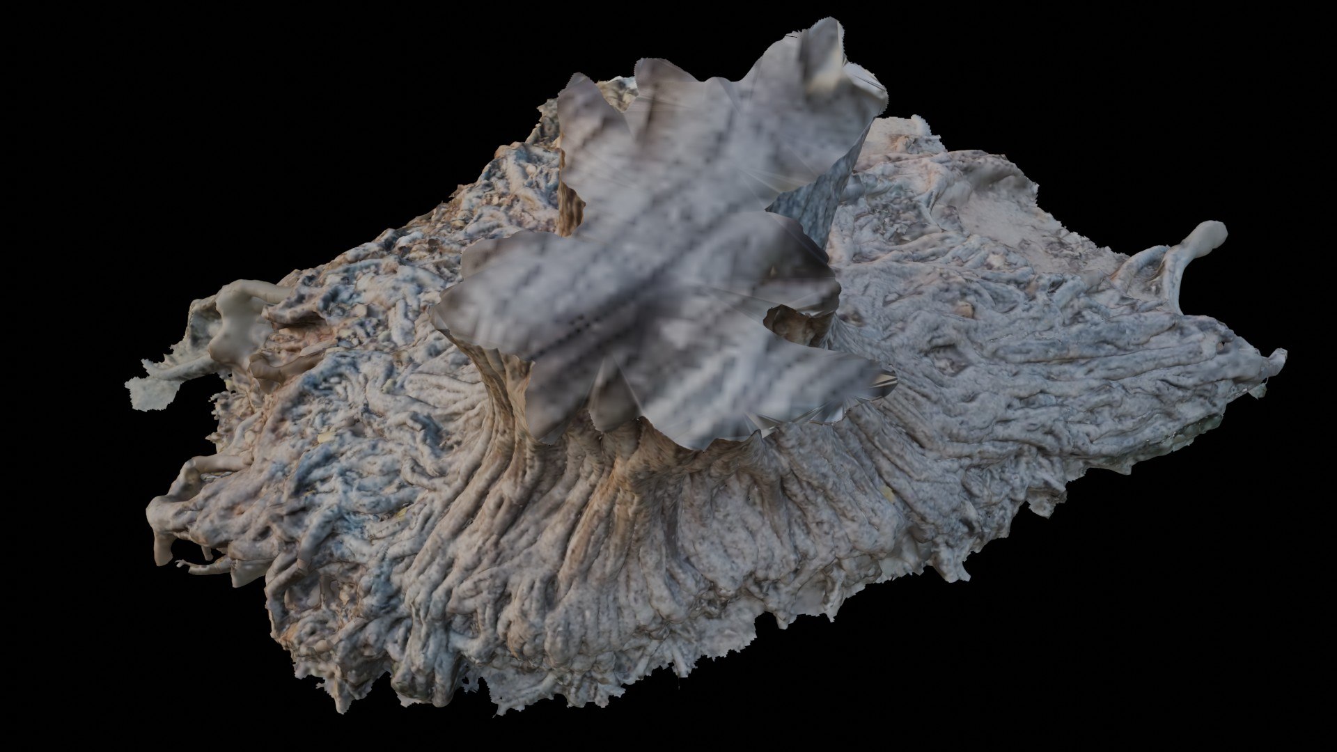 Exposed Tree Roots and Stump 3D Scan 3D model https://p.turbosquid.com/ts-thumb/CA/WgyQcY/OZ/6/jpg/1750222839/1920x1080/fit_q87/2047bdeca069e205925f7e0b5c2b688f1ab54420/6.jpg
