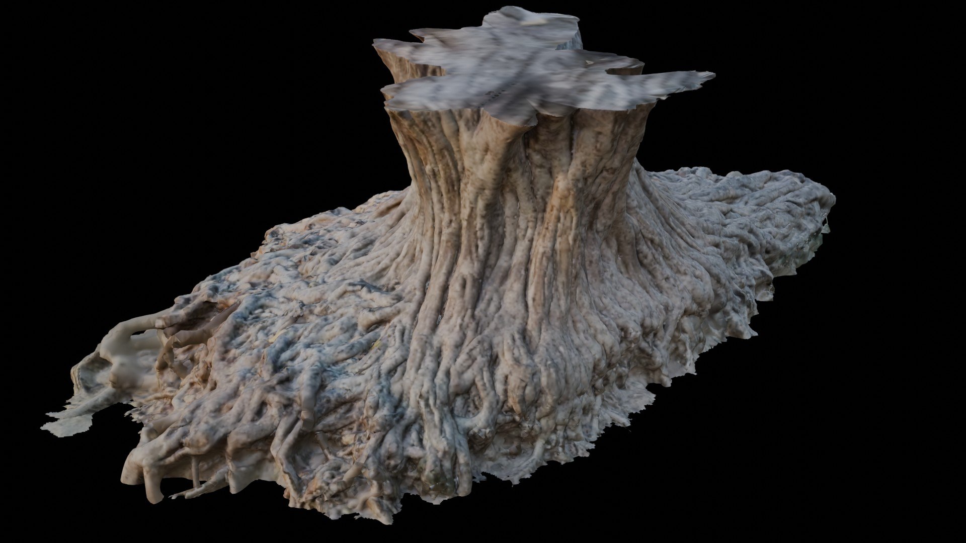 Exposed Tree Roots and Stump 3D Scan 3D model https://p.turbosquid.com/ts-thumb/CA/WgyQcY/Xu/4/jpg/1750222836/1920x1080/fit_q87/ff6c20c2a837b03c197c212cb74a012e9ee67d19/4.jpg