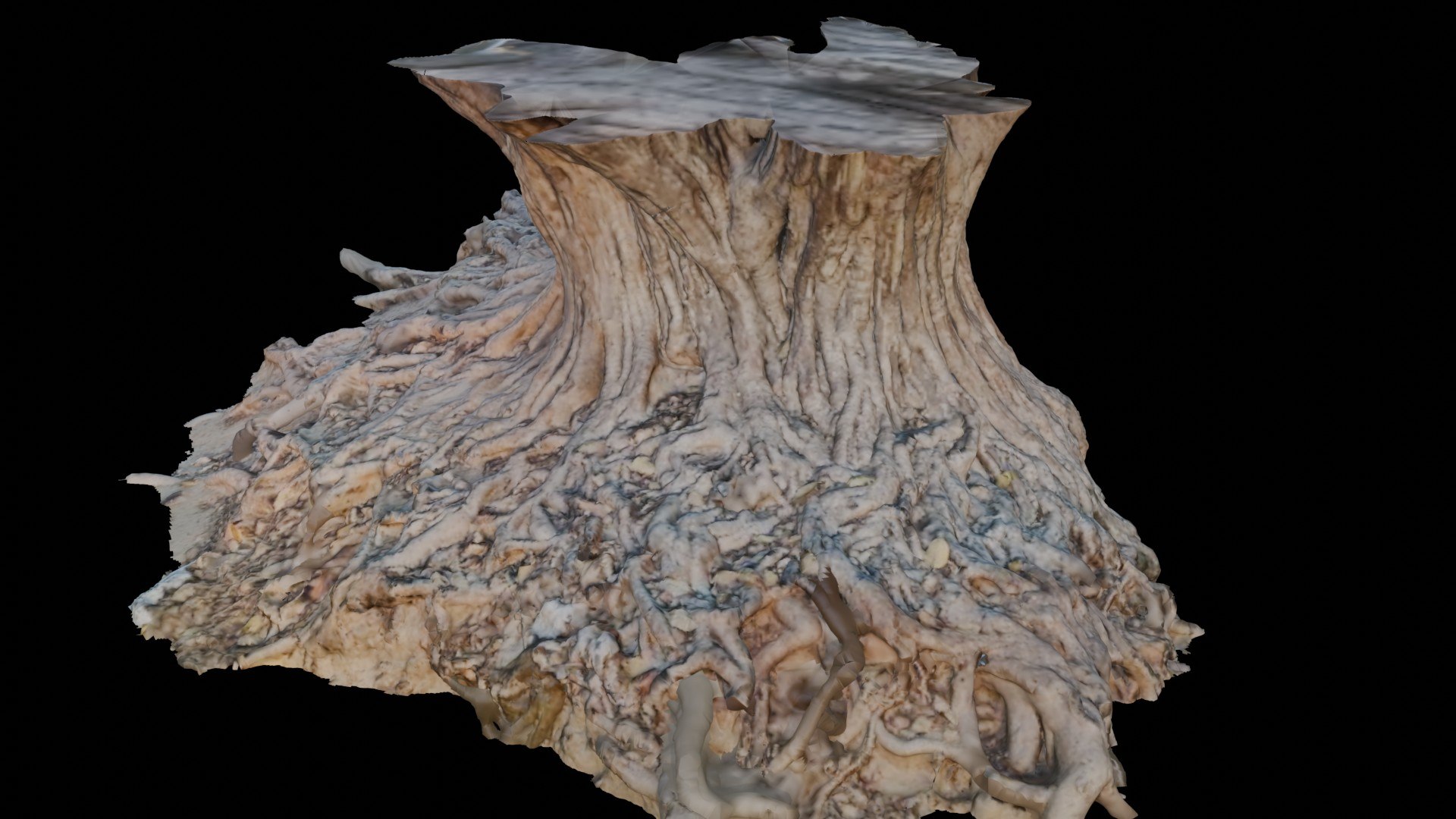 Exposed Tree Roots and Stump 3D Scan 3D model https://p.turbosquid.com/ts-thumb/CA/WgyQcY/Z5/3/jpg/1750222834/1920x1080/fit_q87/37ab1f2ccc44e8bd8dc0101eb1ea207707f14815/3.jpg