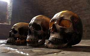 Skulls Pack 3D model
