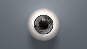 3D eyeball eye ball
