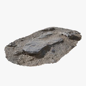 Assembly Ground Rock 40 StemCell 3D model